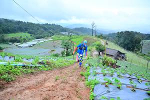 BIB: 1090
                            <button type="button" onclick="openModal(13378461)" class="btn btn-primary btn-sm float-right btn-popup" data-toggle="modal" data-target=".modal-high-quality">
                        <i class="fas fa-shopping-cart"></i> Add to Cart
                    </button>
                                            <button type="button" onclick="isThisMe(13378461, true)" class="btn btn-success btn-sm float-right btn-popup btn-isme hidden" data-toggle="tooltip" data-placement="bottom" title="นี่คือรูปของคุณใช่ไหม คลิกที่นี่เพื่อเอาเข้าอัลบั้ม">
                        <i class="fas fa-plus"></i> Add to album
                    </button>
                    <button type="button" onclick="isThisMe(13378461, false)" class="btn btn-warning btn-sm float-right btn-popup btn-isnotme hidden">
                        <i class="fas fa-ban"></i> Remove from album
                    </button>